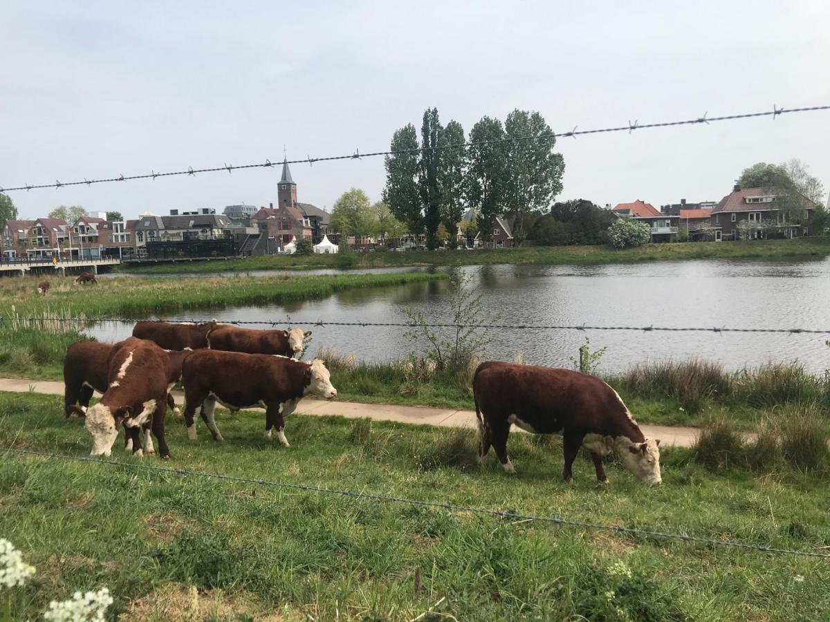 B&B Tussen Vecht En Veer Hardenberg Dış mekan fotoğraf